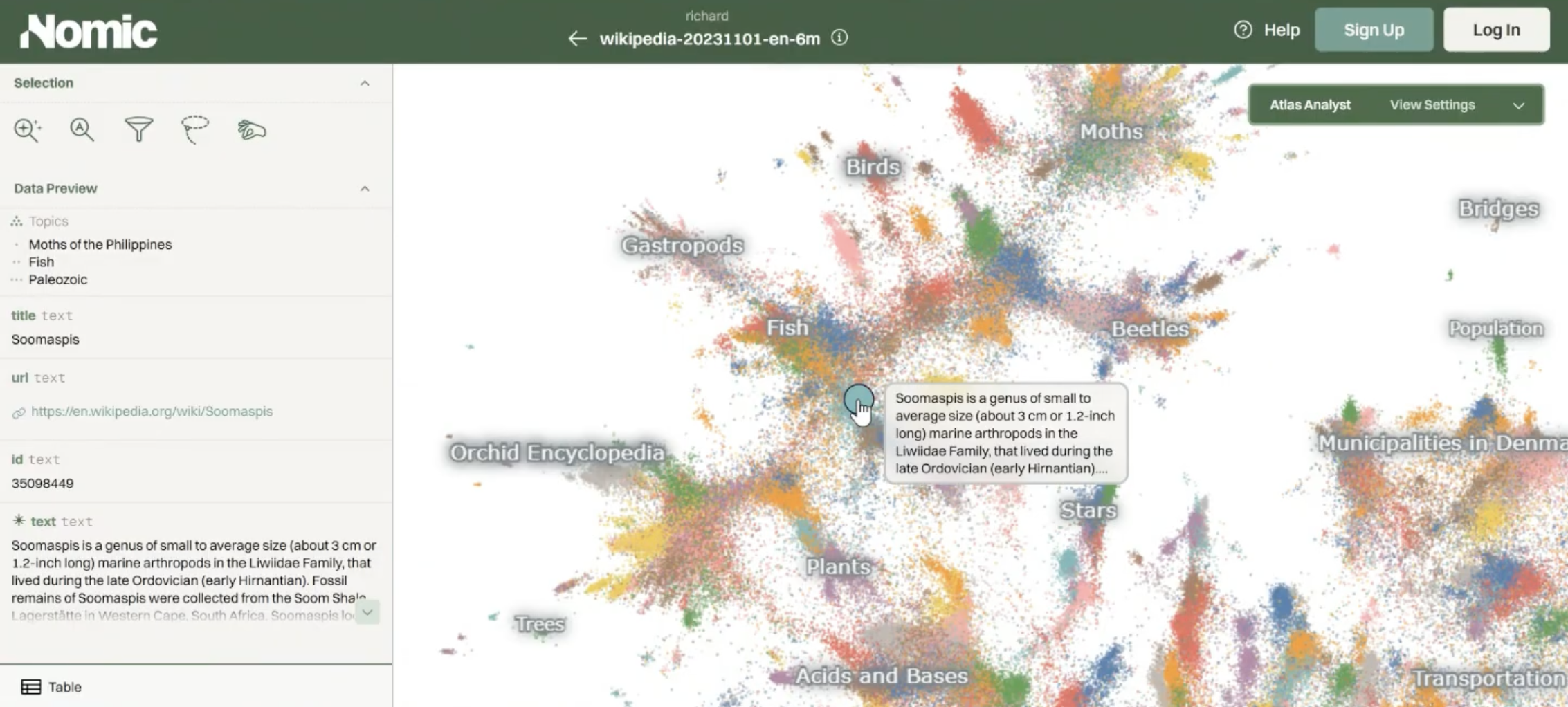 Nomic Atlas map of English-language Wikipedia